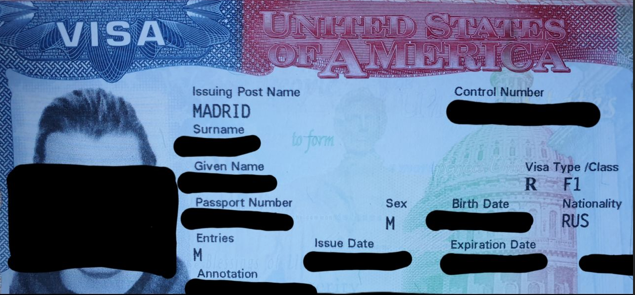 Виза Карины