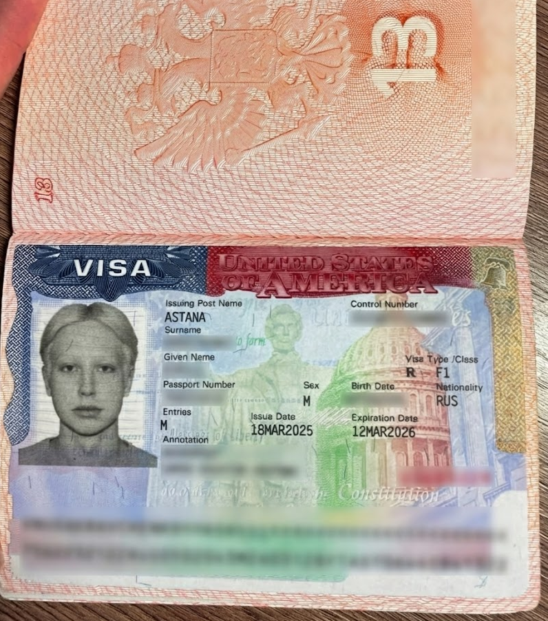 Виза Айлин