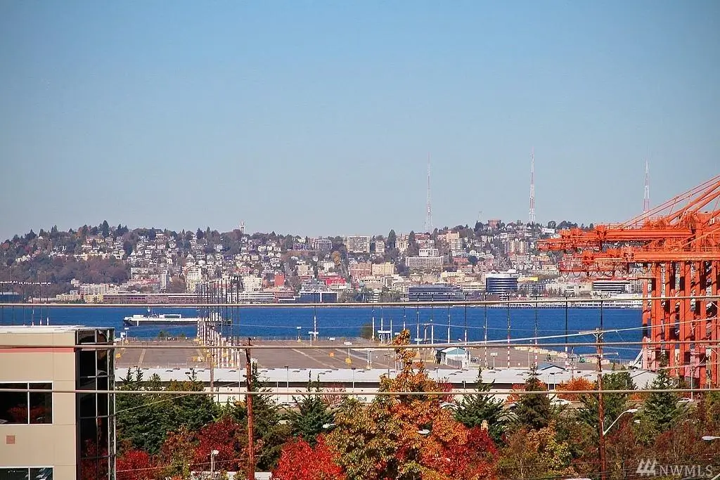 Комната с прекрасным видом